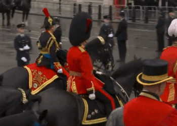 Princess Anne, the military princess