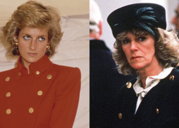 Princess Diana and Queen Camilla Had a Tense Encounter at a Party in 1989