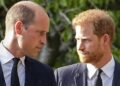 Princess Diana's heartbreaking wish for Harry and William 'destroyed' - Celebrity News - Entertainment