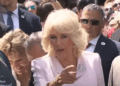 Queen Camilla in exile is a silly season special