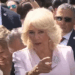Queen Camilla in exile is a silly season special