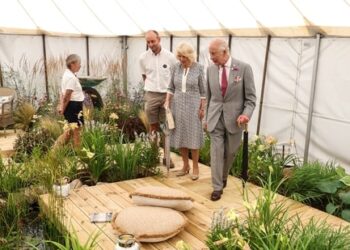 King Charles and Queen Camilla's Sandringham residence has been plagued by wasps recently.(REUTERS)
