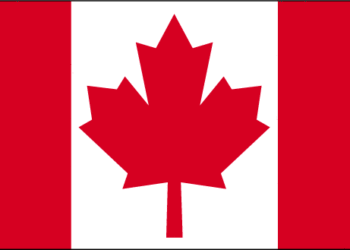 Report: Canada’s video entertainment market maintains momentum