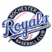Rochester Royals knock off top seed in Section 1A to qualify for state tournament - Post Bulletin