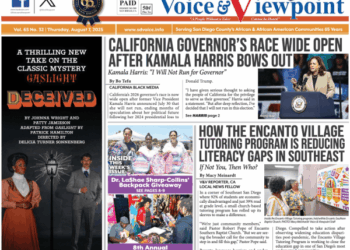 Newspaper