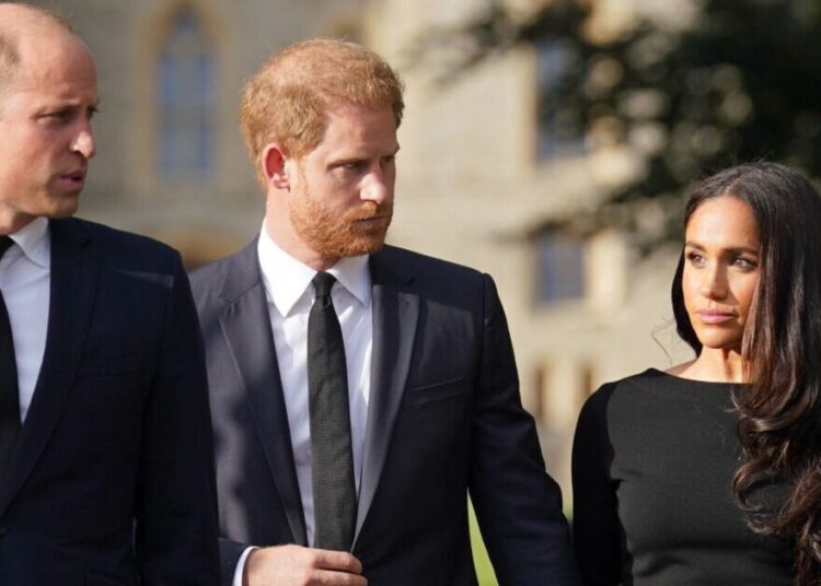 Royal Family LIVE: Expert's brutal verdict on why Prince William can't fix feud with Harry | Royal | News