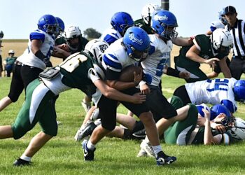 Royals post scrimmage at home | News, Sports, Jobs