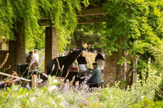 Twelve pianos will pop up in the San Francisco Botanical Garden in September. (Courtesy of Gardens of Golden Park)