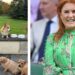 Sarah Ferguson gives rare update on late Queen's corgis | Royal | News