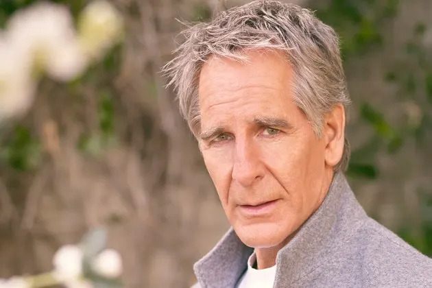 Scott Bakula To Star Opposite Ariana DeBose In ‘The Baker’s Wife’ Musical Off Broadway