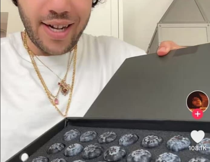 Benny Blanco’s TikTok video showing the $200 blueberries.