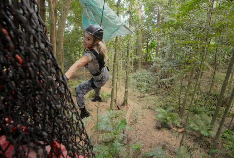 The 5 Best Reality TV Game Shows, Ranked