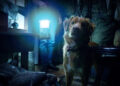 The Best Horror Movie Idea Of 2025 Is All About A Dog