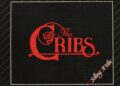 the cribs new album artwork selling a vibe song video summer seizures