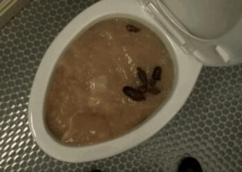 A screenshot of the gross Poughkeepsie.