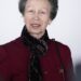 The Royal Family has released some fun facts about Princess Anne (seen in May) ahead of her 75th birthday