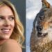The USDA Is Using Scarlett Johansson And Adam Driver To Scare Off Wolves