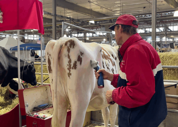 This Year's Themed Days at the Great New York State Fair | Entertainment