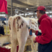 This Year's Themed Days at the Great New York State Fair | Entertainment