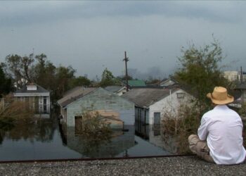 Top Streaming Shows Besides Hulu’s Hurricane Katrina Series