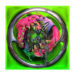 Dawn Of Chromatica 1LP