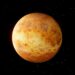 Venus In Leo 2025 Horoscope Is Here