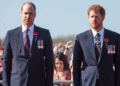 William and Harry Were Given ‘Important Warnings’ About Royal Life
