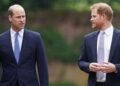 William 'too hurt' to forgive Harry after 'cruel' remarks about Kate - Celebrity News - Entertainment