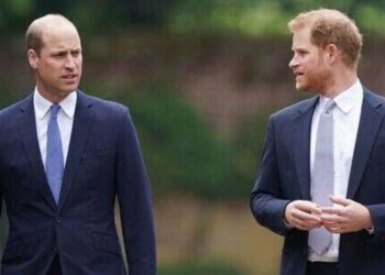 William 'too hurt' to forgive Harry after 'cruel' remarks about Kate - Celebrity News - Entertainment