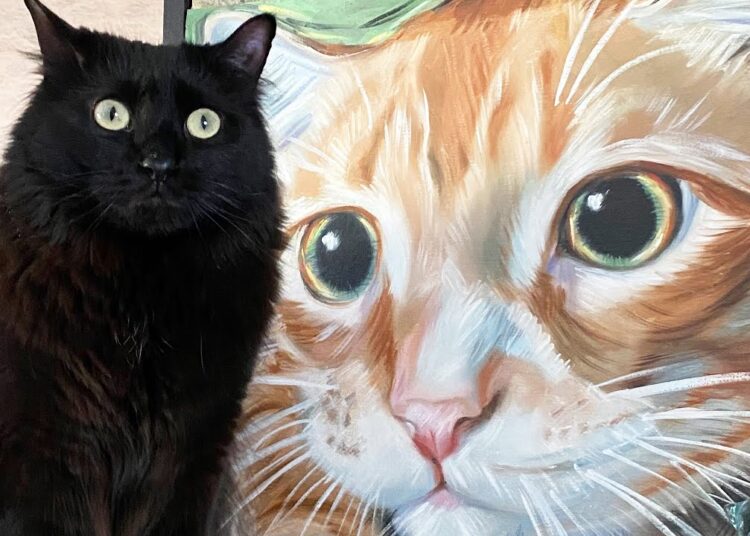 When Cats are Being Artists 🎨