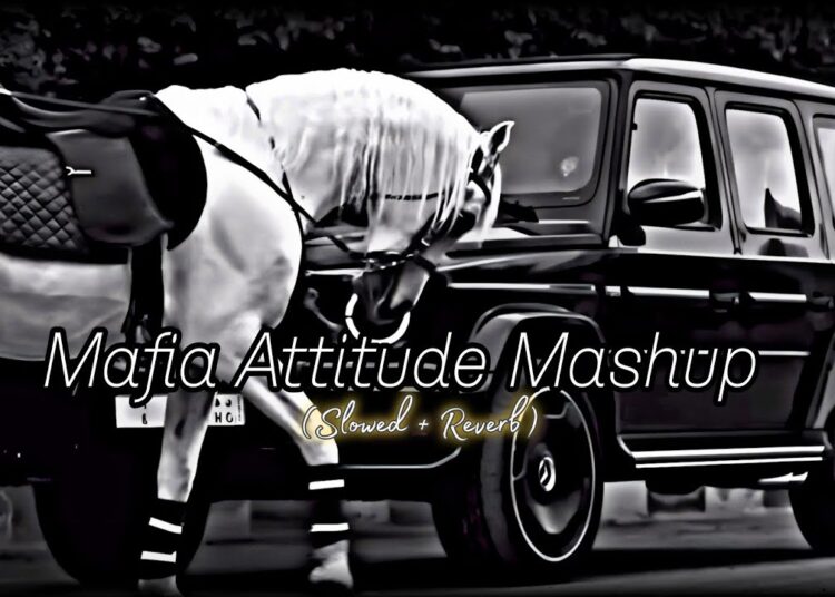 Gangster Hood😈🎵(Slowed+Reverb) Mashup | Sidhu Moose Wala🔥Shubh🔥Karan | The Gangsters Mashup