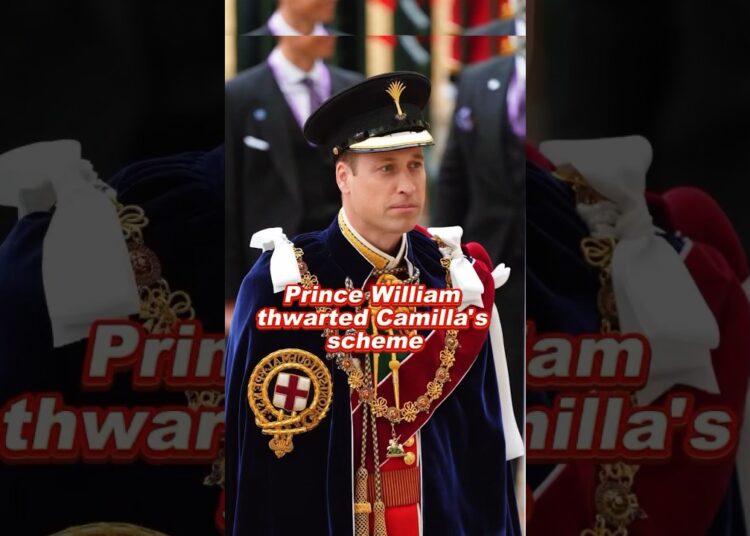 Prince William thwarted Camilla’s scheme #camilla #william #royal #prince #queen