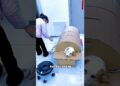 बंटी को मशीन में जला दिया🥵 ll Carraige House wooden artist ll #cartoon #shortvideoshortvideo