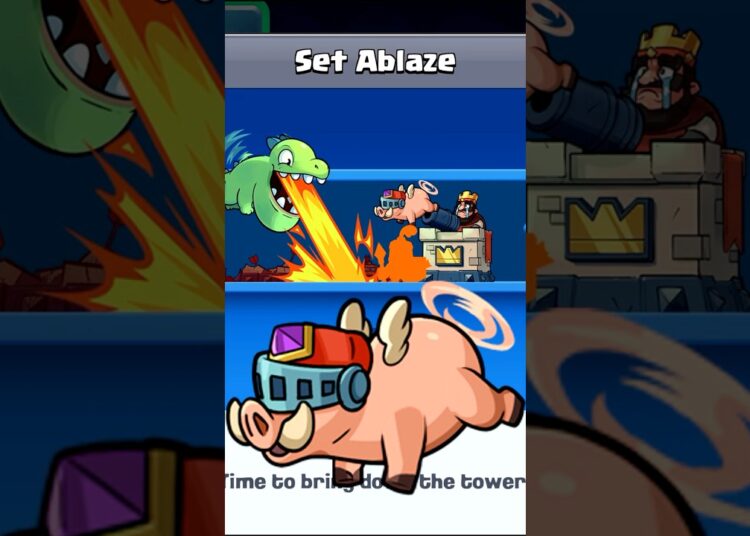 EVOLVED ROYAL HOGS COMING TO CLASH ROYALE! #clashroyale #shorts
