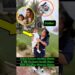 Dubai Royal Family|Dubai Princess Sheikha Mahra &  husband Sheikh Mana#baby#girl#lifestyle#ytshorts