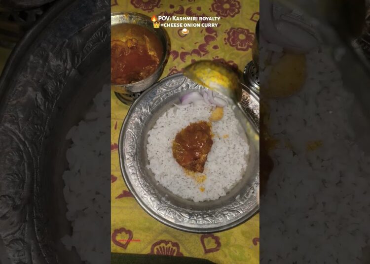 🔥POV: KASHMIRI ROYALTY 👑=CHEESE ONION CURRY 🍛#shorts#kashmiri#viralshorts #kashmirisong