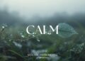 Relaxing Guitar for Stress Relief, work and study | REMEMBERED