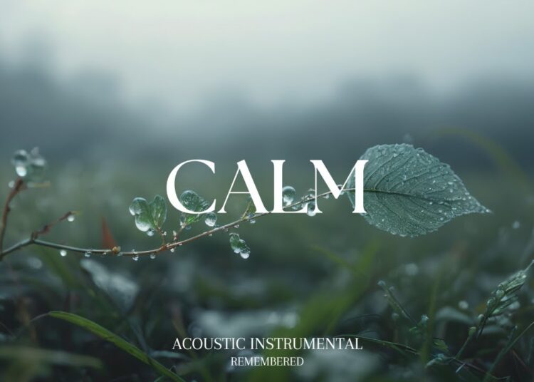 Relaxing Guitar for Stress Relief, work and study | REMEMBERED