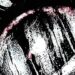 FRAGMENT SLOWED