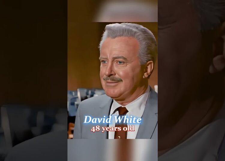 Here’s how the actors of “Bewitched”look today #thenandnow   #celebrity #Netflix #hollywood#us