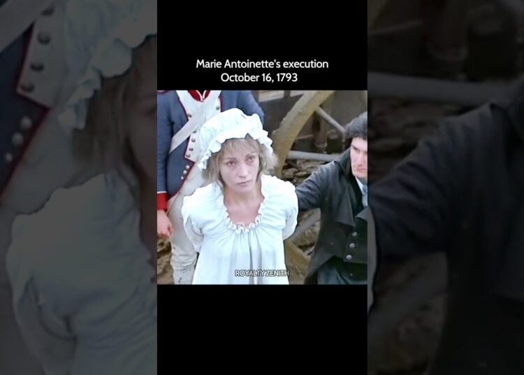 Marie Antoinette’s execution #history #viral #shorts #royal #marieantoinette #queen #royalty