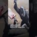 Banksy protester mural at London’s Royal Courts of Justice removed after attempts to remove barriers