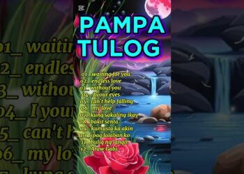 PAMPATULOG | ROMANTIC LOVE SONGS | COMPILATION | NON STOP MUSIC | LOVE SONGS 70s 80s 90s