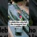 5 Celebrities Who left the strangest last wishes #famous #celebrity #fyp
