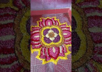 Happy Onam 🌸🌼🪷 #onam #pookolam #kerala #kolam #artist #festival