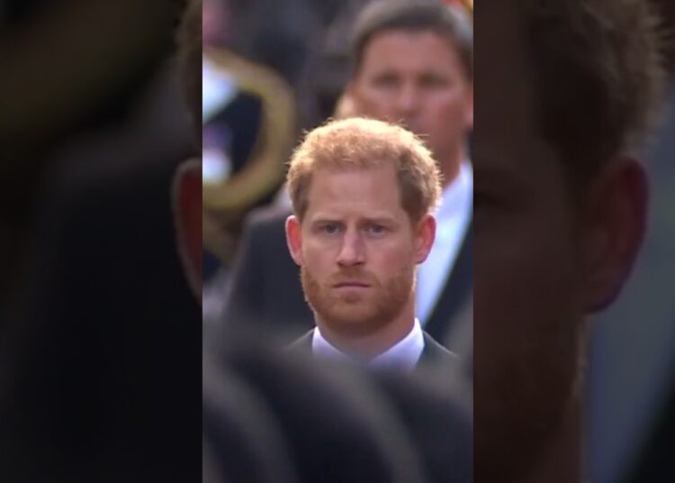Everyone gathers at queen elizabeth’s funeral #edit#shortvideo#royalty#queenelizabeth