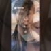 Arianna Meloni: La Verità Sul Rapporto con De Martino #gossips #gossip #meloni #demartino #gossip24