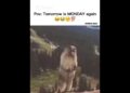 Monday Again…😂😭😡 #song #music #funny #weekend #shortsviral