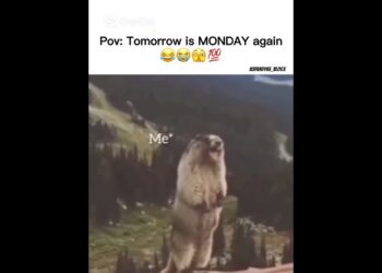 Monday Again…😂😭😡 #song #music #funny #weekend #shortsviral