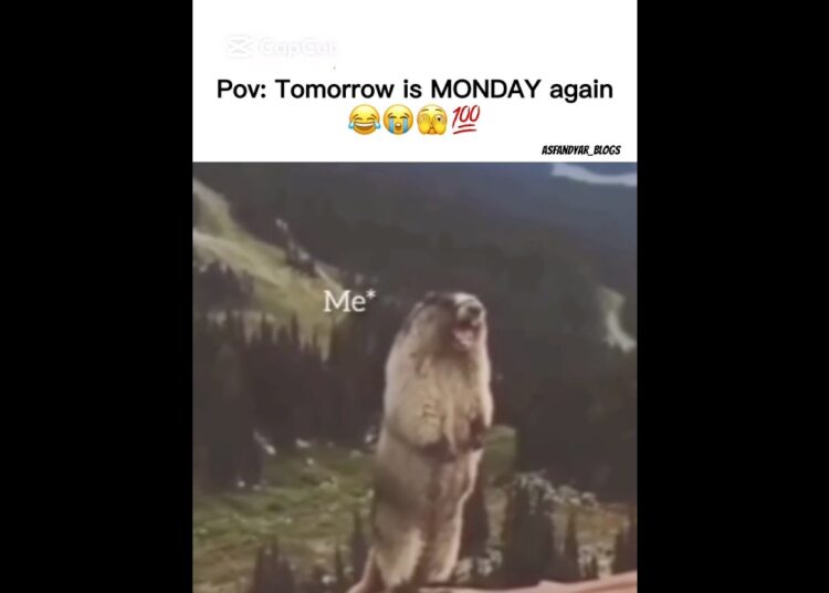 Monday Again…😂😭😡 #song #music #funny #weekend #shortsviral
